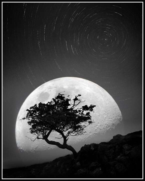 Dancing with the moonlight night