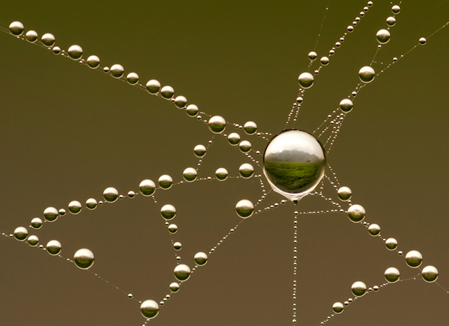 Web Pastoral