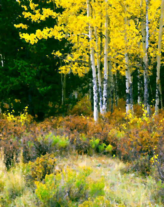 Fall Color Painting