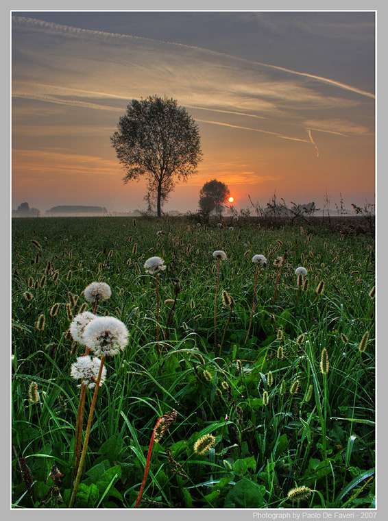 Foggy sunrise in Scalenghe, Piedmont, Italy.