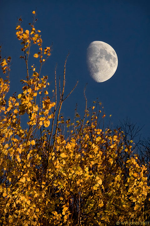 AspenMoon2