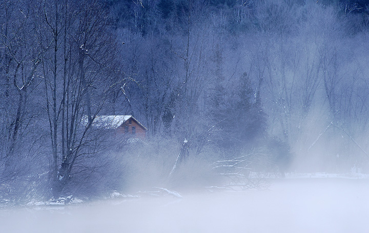 Within The Fog