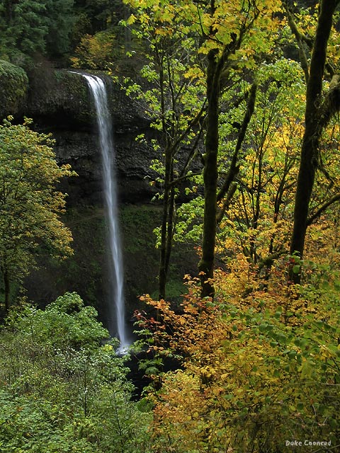 South Falls in Silver Falls State Park - Oregon