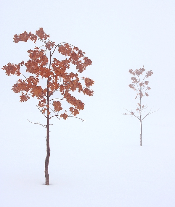 Color Amongst Nothingness