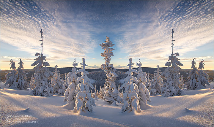 Winter Vortex