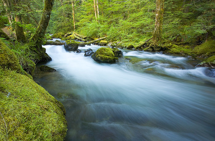 WC 322-Spring Torrent