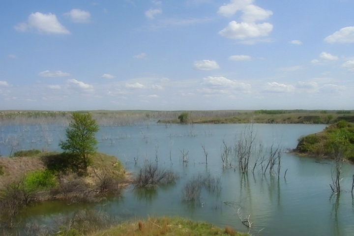 WC #327 - Cedar Bluff Reservoir