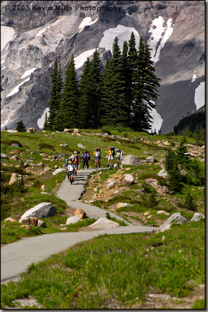 Mt Rainier Hikers
