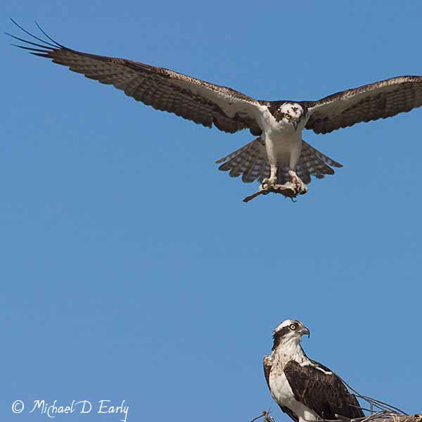 Feeding time