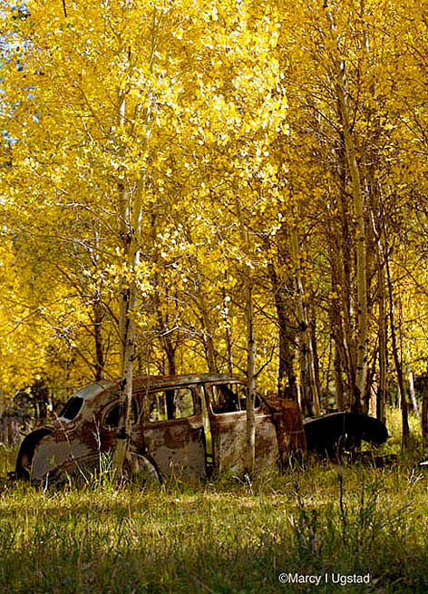 Memories in Aspen